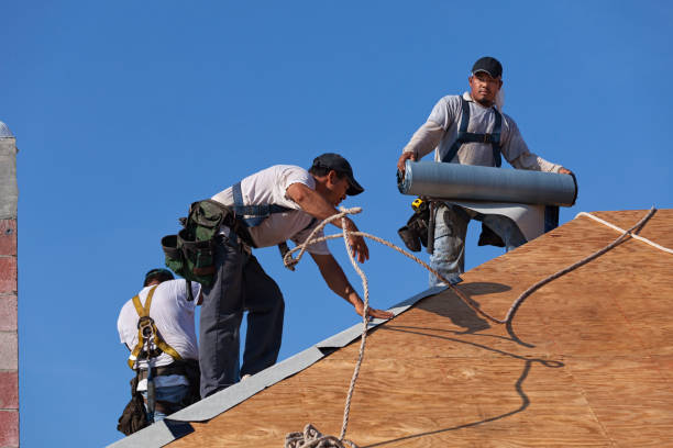 Best Roof Gutter Cleaning  in Beechwood, MS